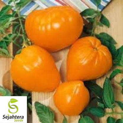 Orange Oxheart Tomato Seeds - 30+ Heirloom, Organic, Non-GMO & Rare