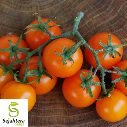 Orange Cherry Tomato Seeds - 120+ Heirloom, Organic, Non-GMO & Rare