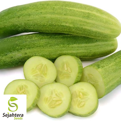 Carolina Cucumber Seeds - 100+ Organic Heirloom - Crisp & Non-GMO - Fresh
