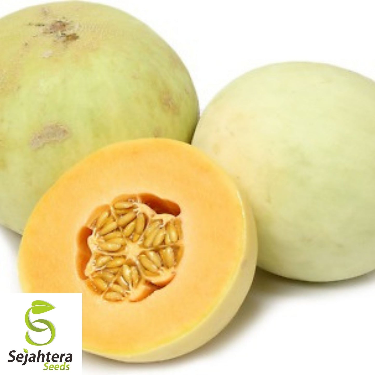 Honey Dew Orange Flesh Cantaloupe Seeds 50+ | Muskmelon Fruit NON-GMO USA
