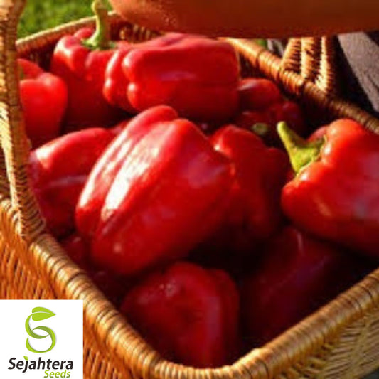 50+ Giant Keystone Resistant Pepper Seeds - Heirloom, Organic, Non-GMO, Sweet