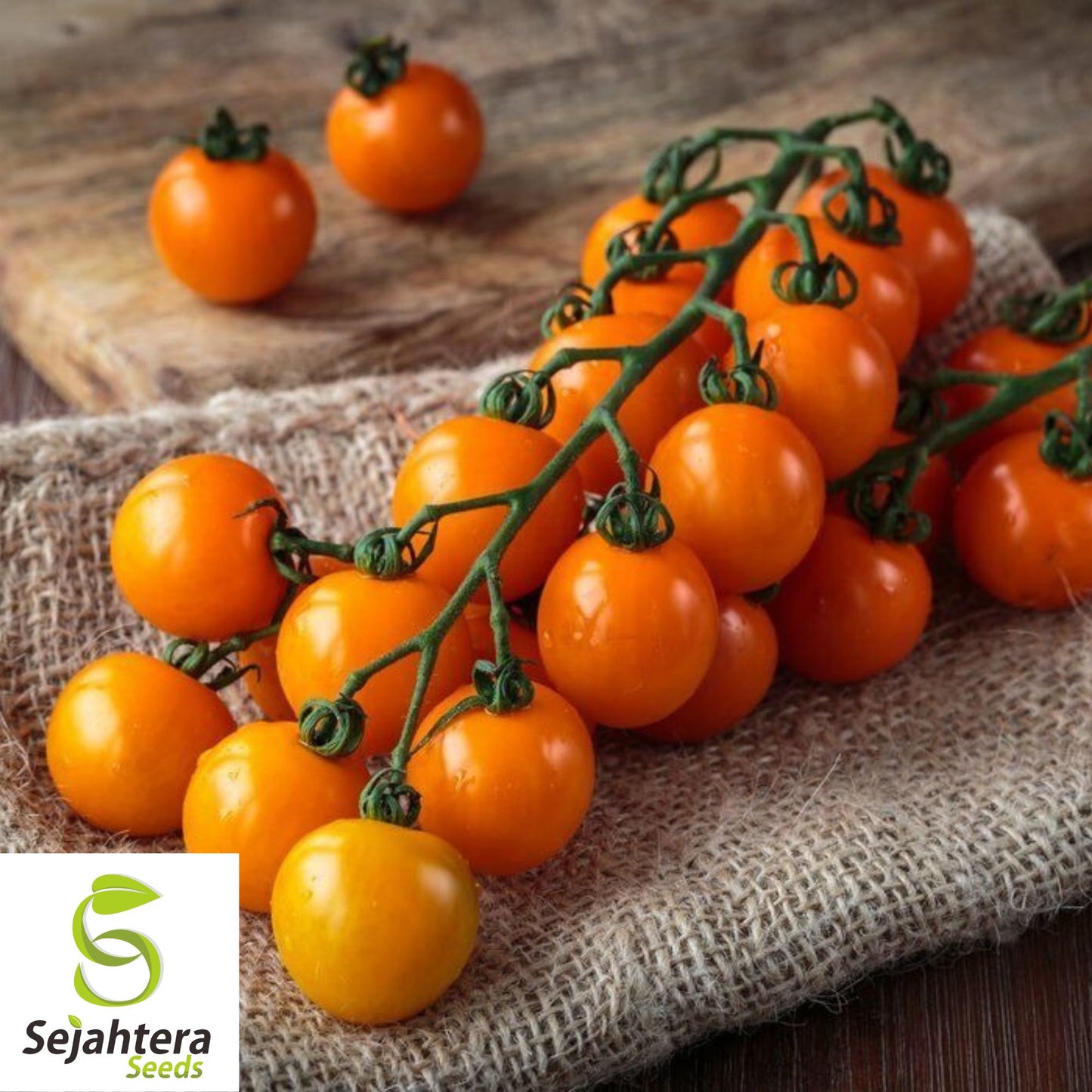 Orange Cherry Tomato Seeds - 120+ Heirloom, Organic, Non-GMO & Rare