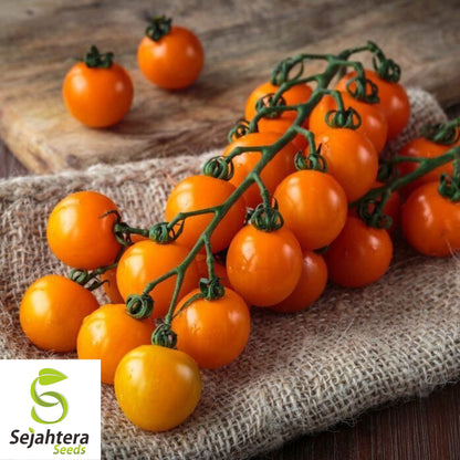 Orange Cherry Tomato Seeds - 120+ Heirloom, Organic, Non-GMO & Rare