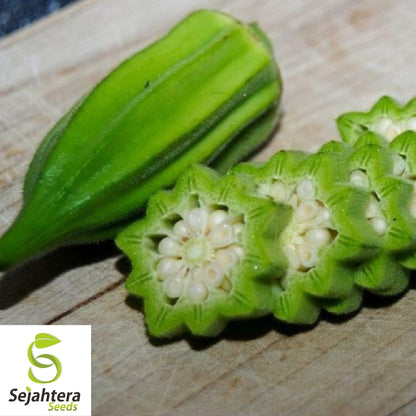 Star of David Okra Seeds 30 | Heirloom BIG Okra Vegetable FREE Shipping USA