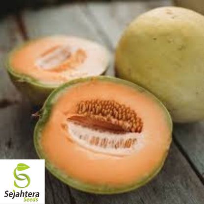 Honey Dew Orange Flesh Cantaloupe Seeds 50+ | Muskmelon Fruit NON-GMO USA