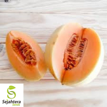 Honey Dew Orange Flesh Cantaloupe Seeds 50+ | Muskmelon Fruit NON-GMO USA