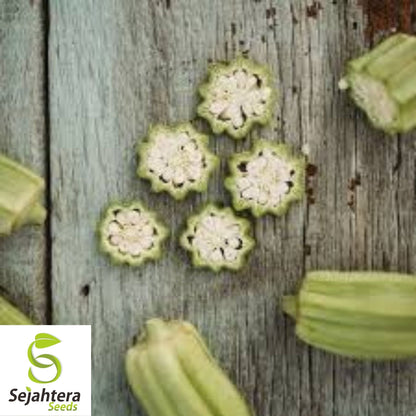 Star of David Okra Seeds 30 | Heirloom BIG Okra Vegetable FREE Shipping USA