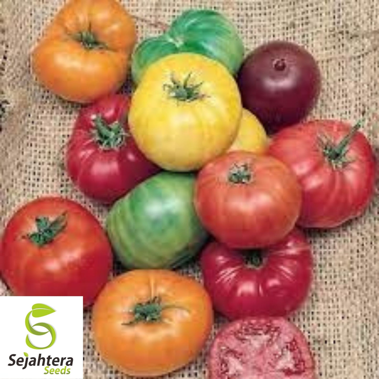 Rainbow Cherry Tomato Seeds - 60+ Heirloom, Organic, Non-GMO & Fresh