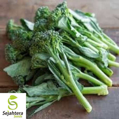 De Cicco Broccoli Seeds 600+ | Italian Heirloom Vegetable NON-GMO USA
