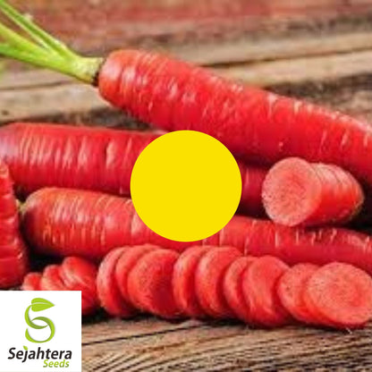 Atomic Red Carrot Seeds 150+ | NON-GMO Heirloom Vegetable Garden USA
