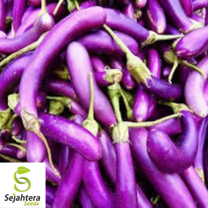 Eggplant Long Purple Seeds 200+ | Heirloom Vegetable Garden NON-GMO USA
