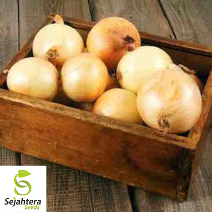 100+ Walla Walla Onion Seeds - Sweet, Mild, Non-GMO Vegetable Variety