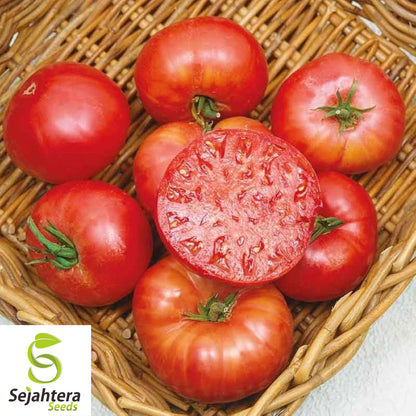 Mortgage Lifter Tomato Seeds - 30+ Heirloom, Organic, Non-GMO, Large & Fresh