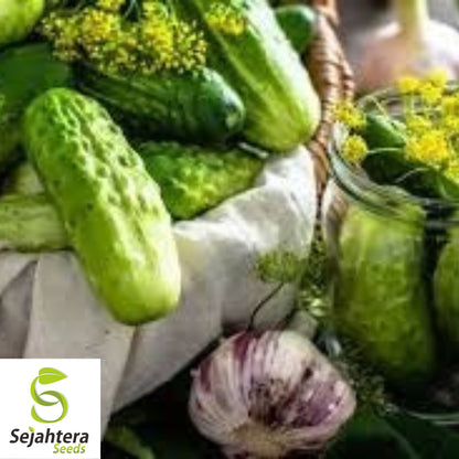 Boston Pickling Cucumber Seeds - 100+ Organic Heirloom - Crisp & Non-GMO