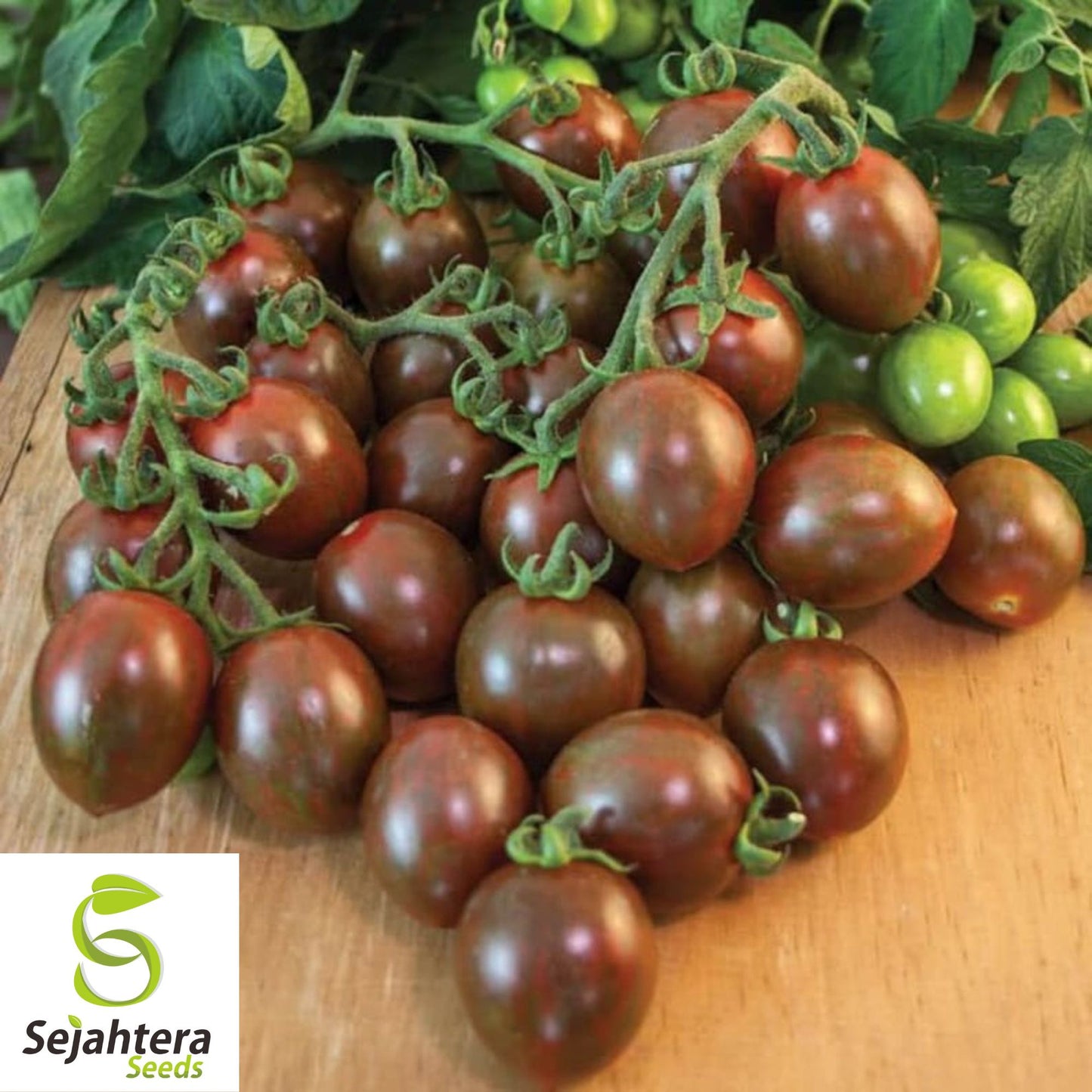 Chocolate Cherry Tomato Seeds - 120+ Heirloom, Organic, Non-GMO & Rare