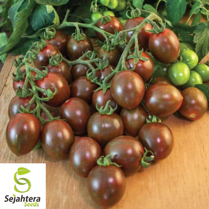 Chocolate Cherry Tomato Seeds - 120+ Heirloom, Organic, Non-GMO & Rare