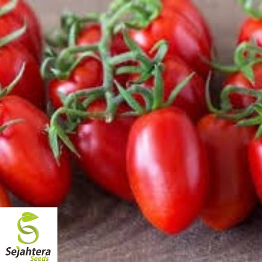 120+ Roma Tomato Seeds - Heirloom, Organic, Non-GMO, Perfect for Sauces & Fresh