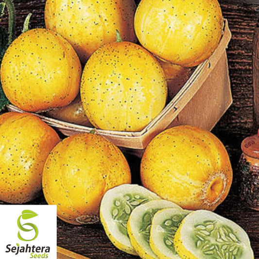 50+ Lemon Cucumber Seeds - Heirloom, Non-GMO, Rare, Sweet & Crisp Variety