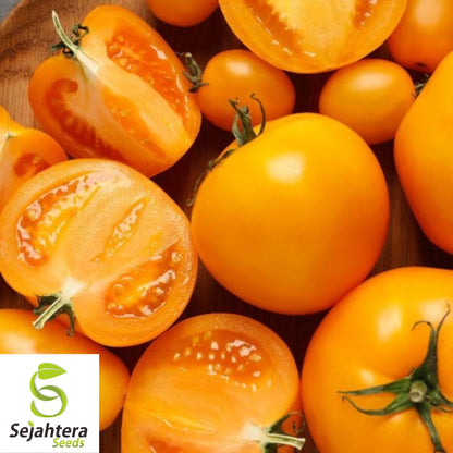 Golden Jubilee Tomato Seeds - 120+ Heirloom, Organic, Non-GMO & Fresh