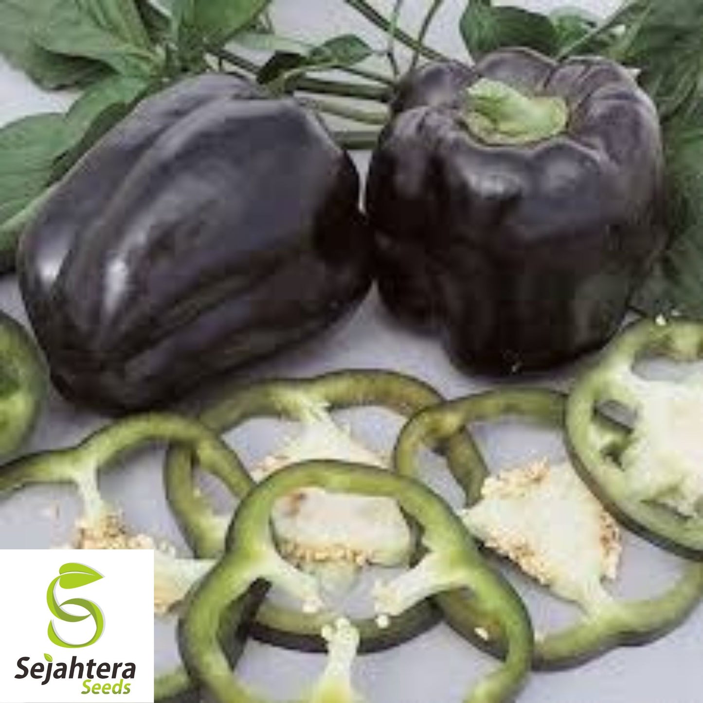 25 Purple Beauty Pepper Seeds - Non-GMO, Sweet & Vibrant Variety