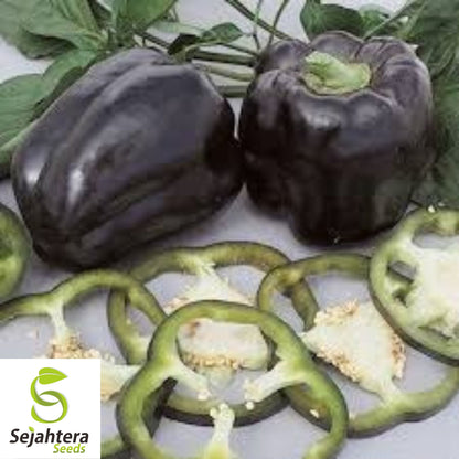 25 Purple Beauty Pepper Seeds - Non-GMO, Sweet & Vibrant Variety