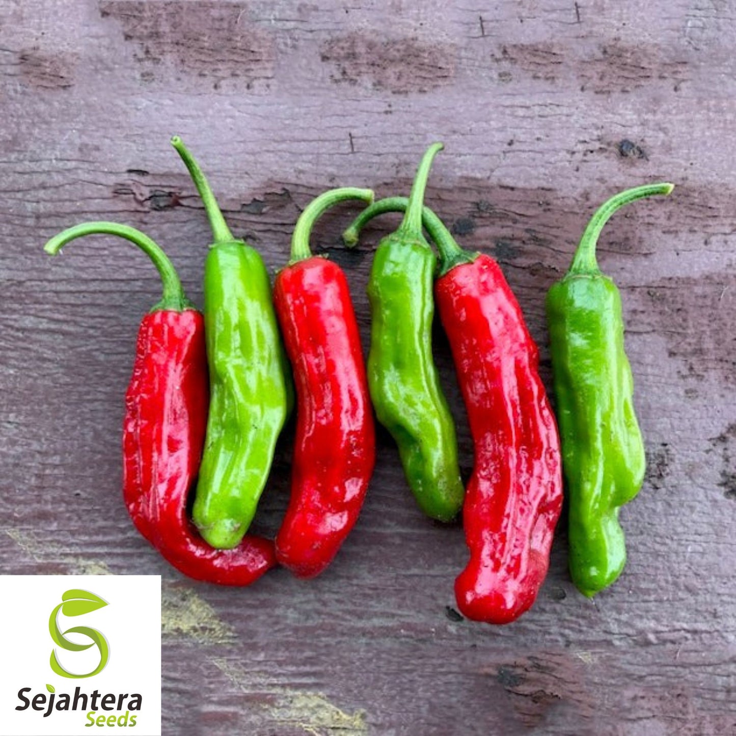 20 Orange Shishito Pepper Seeds - Non-GMO, Sweet & Mild Gourmet Variety