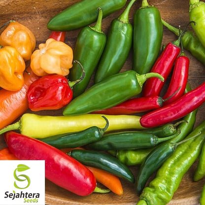 Hot and Happy Pepper Mix Seeds - 50+ Heirloom - Large & Colorful Variety