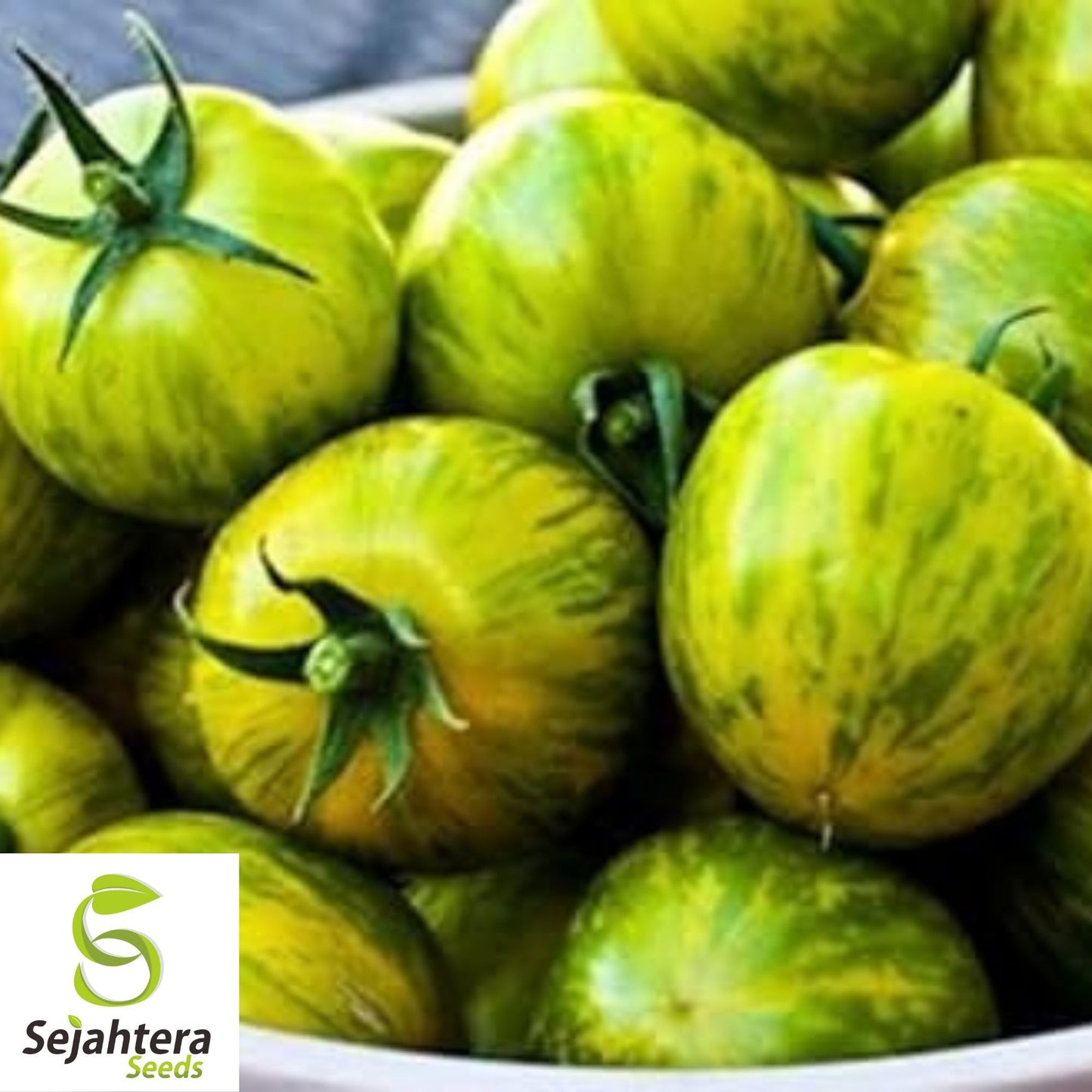 Green Zebra Tomato Seeds 50 Ct | Heirloom NON-GMO Vegetable Garden USA