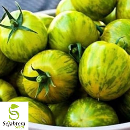 Green Zebra Tomato Seeds 50 Ct | Heirloom NON-GMO Vegetable Garden USA