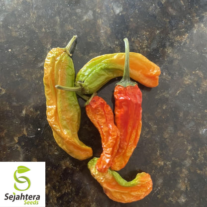 20 Orange Shishito Pepper Seeds - Non-GMO, Sweet & Mild Gourmet Variety