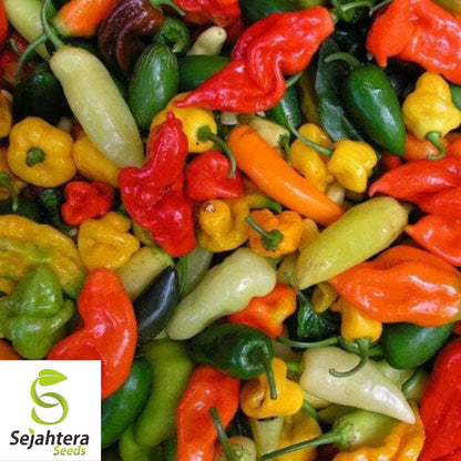 Hot and Happy Pepper Mix Seeds - 50+ Heirloom - Large & Colorful Variety