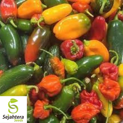 Hot and Happy Pepper Mix Seeds - 50+ Heirloom - Large & Colorful Variety