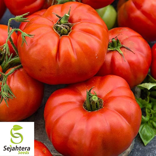 30 Beefsteak Tomato Seeds - Non-GMO, Large & Juicy Heirloom Variety