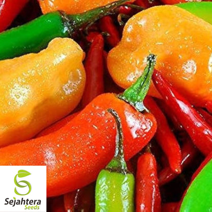 Hot and Happy Pepper Mix Seeds - 50+ Heirloom - Large & Colorful Variety