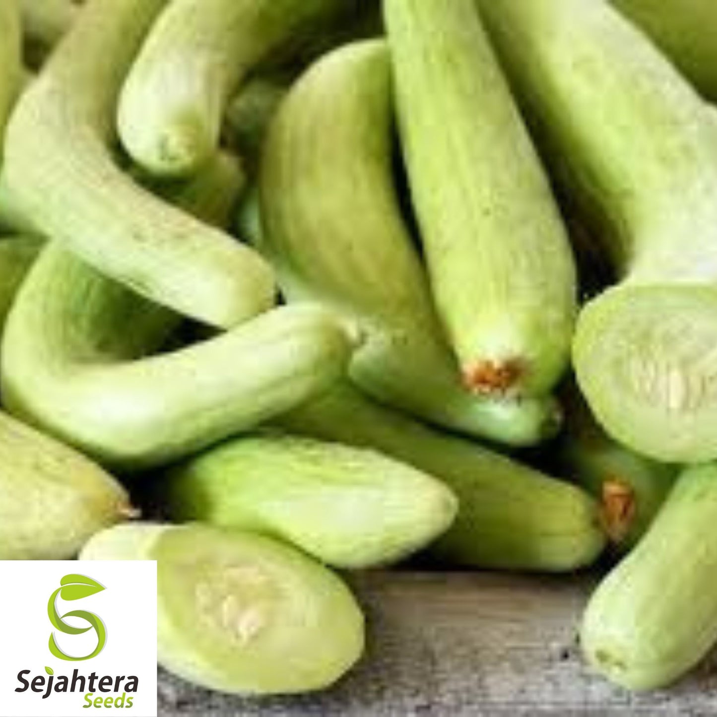 Armenian Yard Long Cucumber Seeds - 100+ Heirloom, Organic, Non-GMO & Crisp