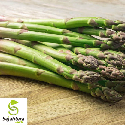 Mary Washington Asparagus Seeds - 200+ Heirloom - Organic, Non-GMO & Fresh