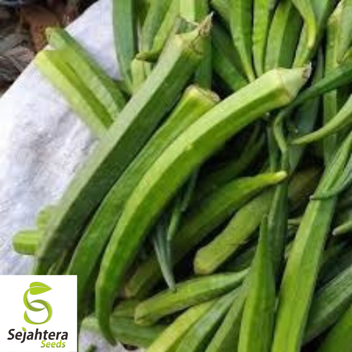 Perkins Long Pod Okra Seeds - 100+ Heirloom - High Yield & Non-GMO - Fresh