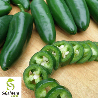 Jalapeño M Pepper Seeds 50+ | Hot Spicy Vegetable NON-GMO USA
