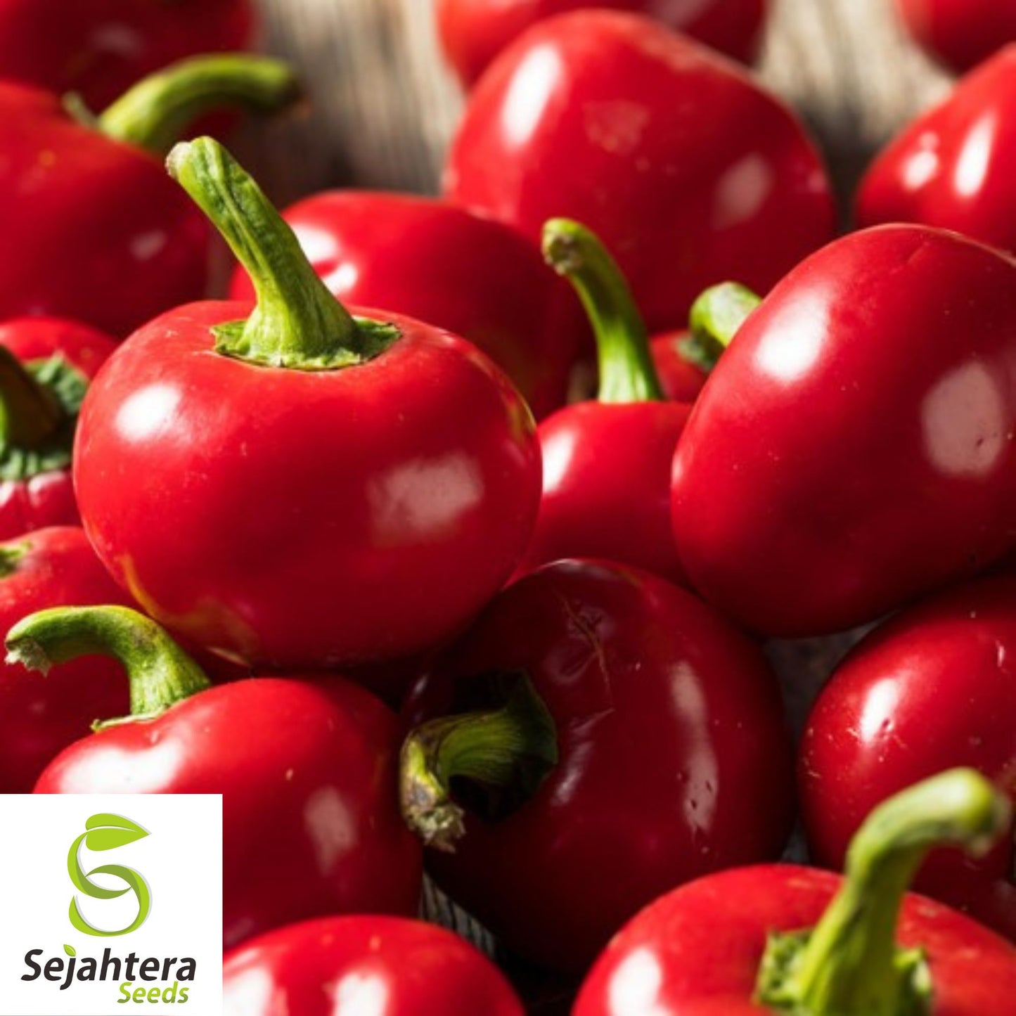 50+ Red Cherry Hots Pepper Seeds - Heirloom, Cherry Bomb Hot Vegetable
