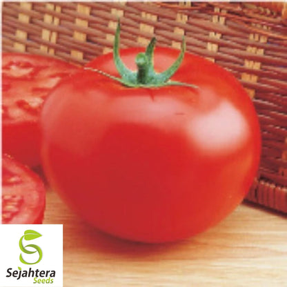 Delicious Tomato Seeds 100 Ct | World Record Vegetable NON-GMO USA