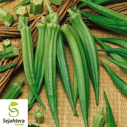 Perkins Long Pod Okra Seeds - 100+ Heirloom - High Yield & Non-GMO - Fresh