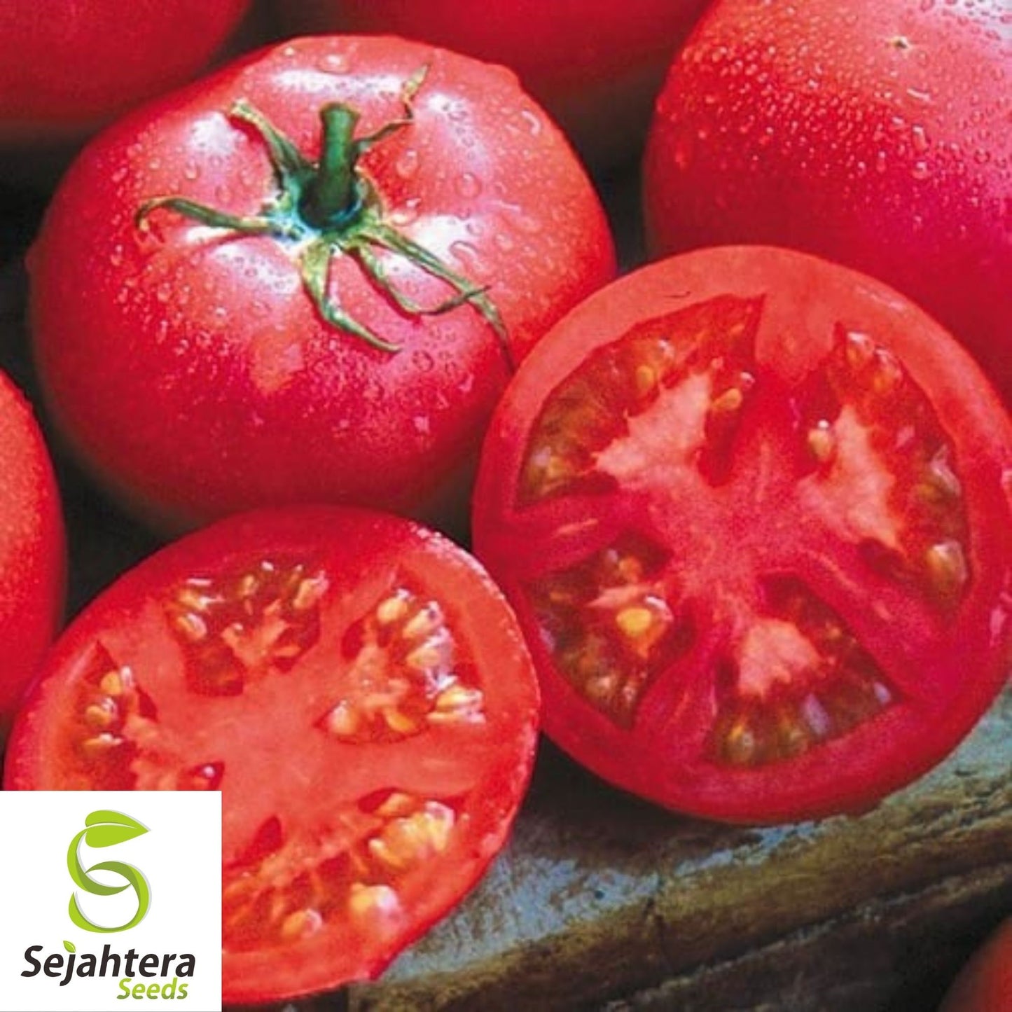 Eva Purple Ball Tomato Seeds 50 Ct | Heirloom Indeterminate NON-GMO USA