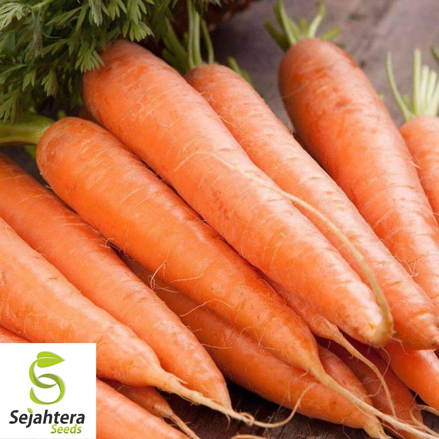 300 Scarlet Nantes Carrot Seeds - Non-GMO, Sweet & Tender Heirloom Variety