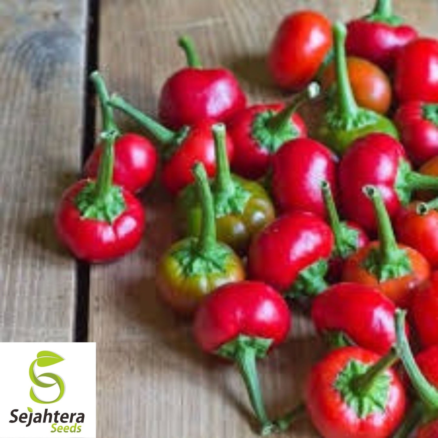 50+ Red Cherry Hots Pepper Seeds - Heirloom, Cherry Bomb Hot Vegetable