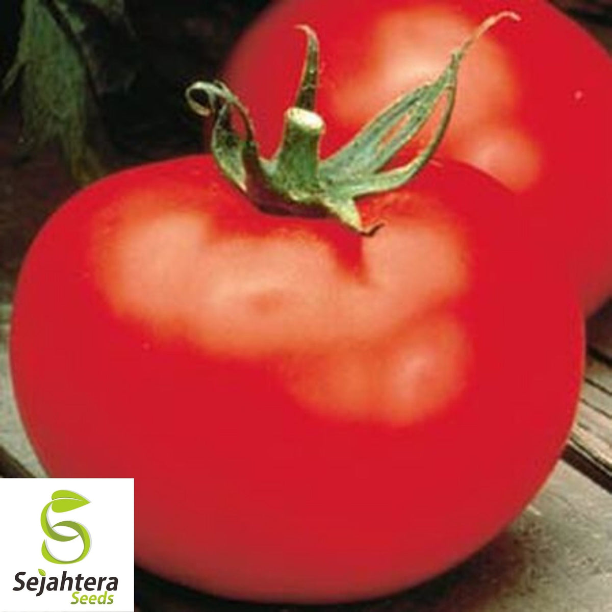 Delicious Tomato Seeds 100 Ct | World Record Vegetable NON-GMO USA
