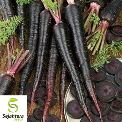 Black Nebula Carrot Seeds - 100+ Heirloom, Organic, Non-GMO & Rare