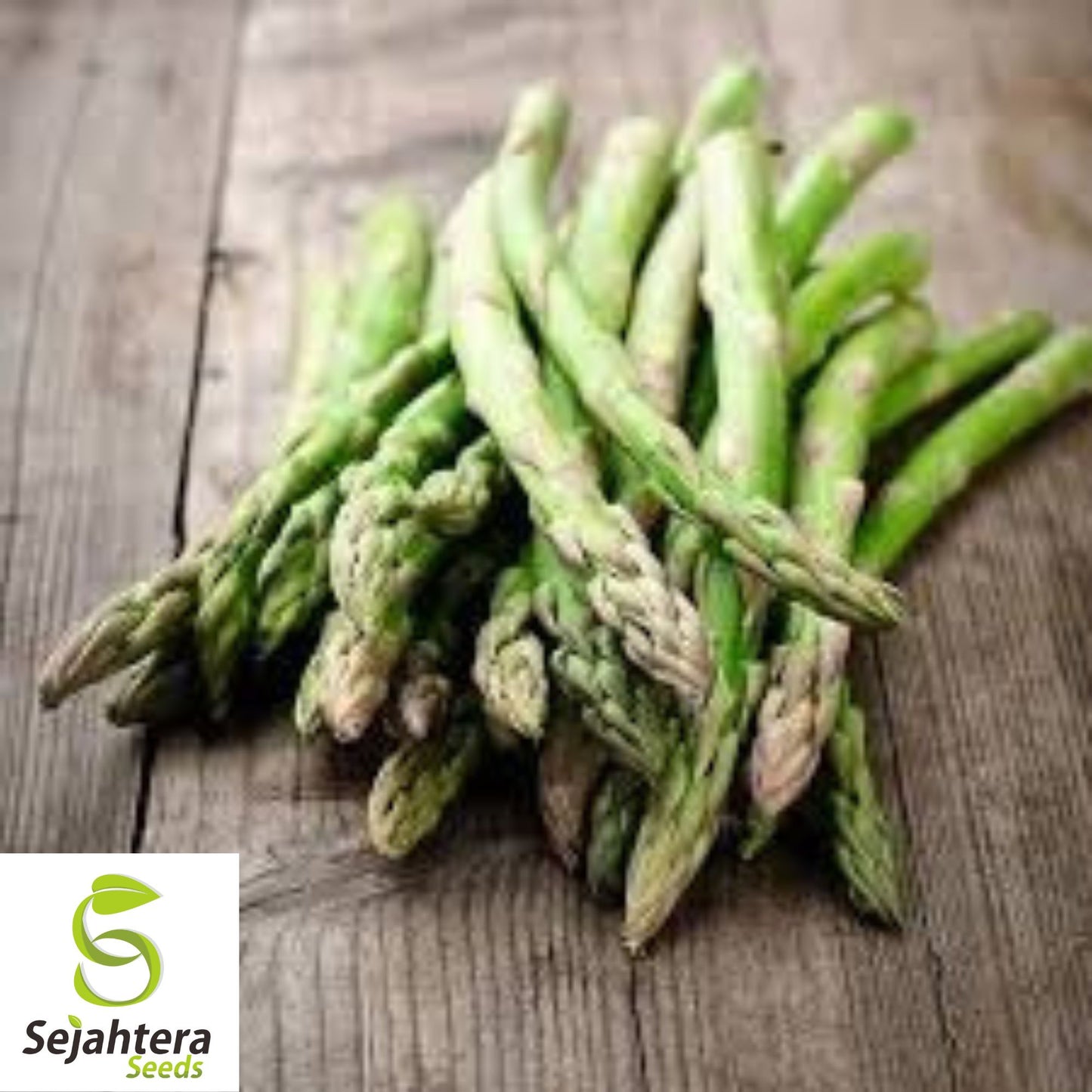 Mary Washington Asparagus Seeds - 200+ Heirloom - Organic, Non-GMO & Fresh