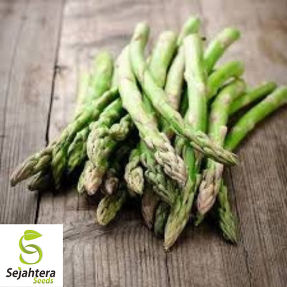 Mary Washington Asparagus Seeds - 200+ Heirloom - Organic, Non-GMO & Fresh