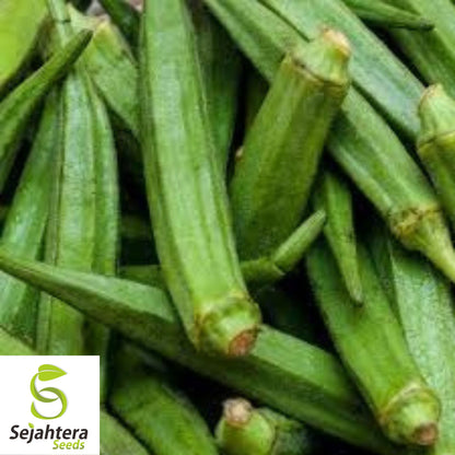 Perkins Long Pod Okra Seeds - 100+ Heirloom - High Yield & Non-GMO - Fresh