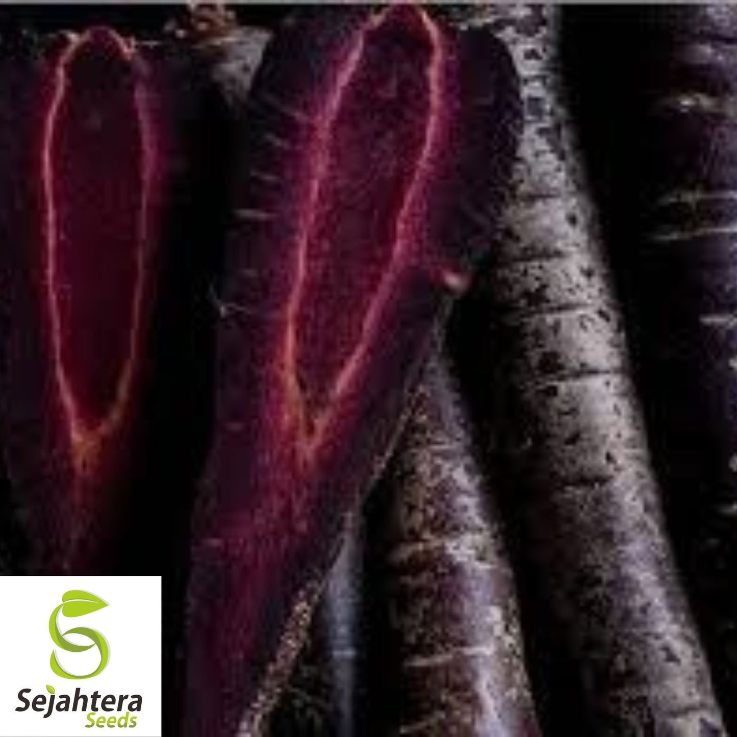Black Nebula Carrot Seeds - 100+ Heirloom, Organic, Non-GMO & Rare